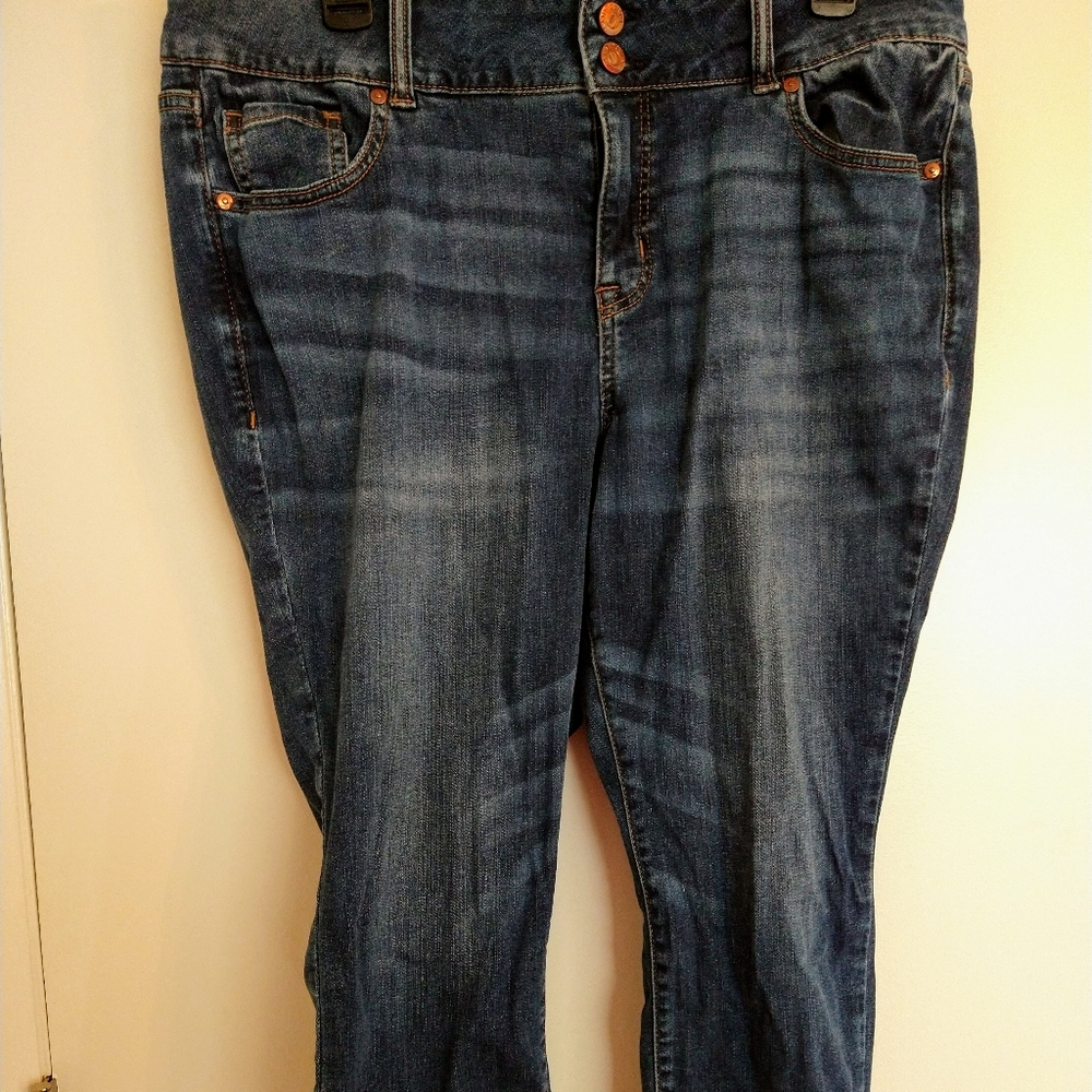 Lane Bryant Straight Leg Jeans